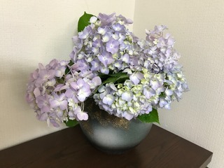 88D75636-E412-438C-8B2B-29431209A30E.jpeg